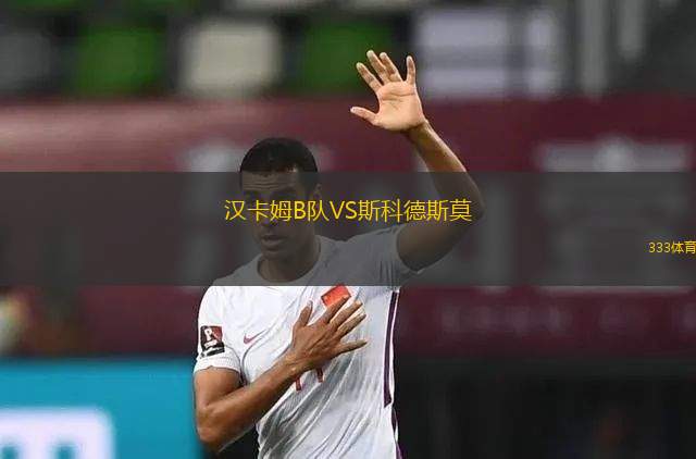 圣克羅伊SC女足VS明尼蘇達荷蘭獅女足