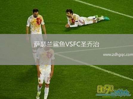 薩瑟蘭鯊魚VSFC圣喬治