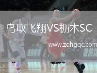 鳥取飛翔VS櫪木SC