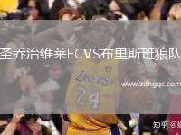 圣喬治維萊FCVS布里斯班狼隊