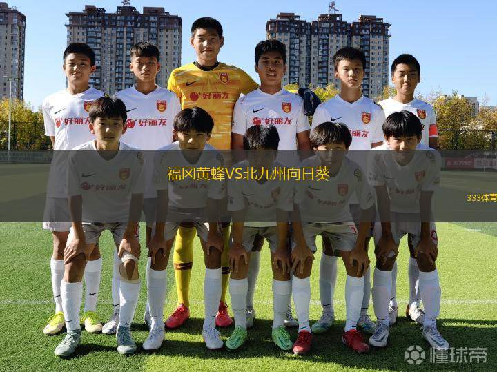 梅賽德斯VSEl波韋尼爾
