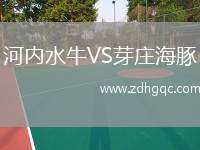 河內(nèi)水牛VS芽莊海豚
