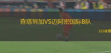 京都不死鳥VS新潟天鵝