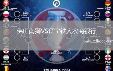 佛山南獅VS遼寧鐵人農商銀行