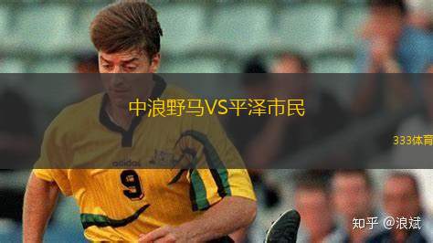 比尼斯納勒VS梅爾加