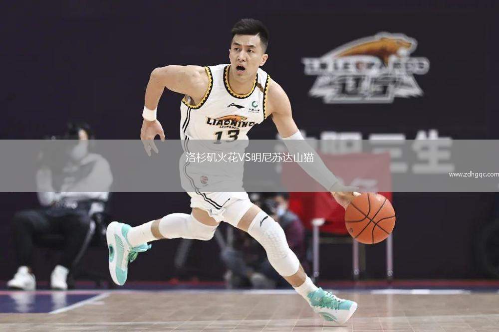 洛杉磯火花VS明尼蘇達山貓