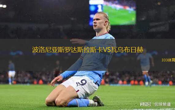 葡萄牙女足VS比利時(shí)女足