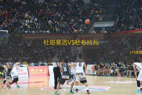 維迪爾VS豪卡爾