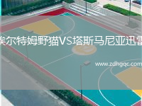 埃爾特姆野貓VS塔斯馬尼亞迅雷