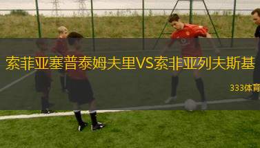 布雷根茨VS韋爾