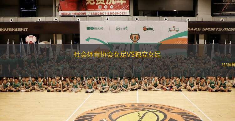 巴基西梅托VS獵鷹英雄