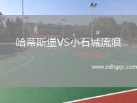 哈蒂斯堡VS小石城流浪