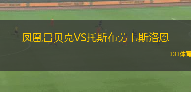 柏林赫塔青年隊VSSV塔斯馬尼亞柏林
