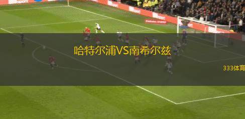 韋恩威斯巴登VS奧芬巴赫踢球者