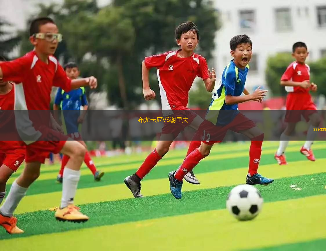 法恩堡VS南安普頓U21