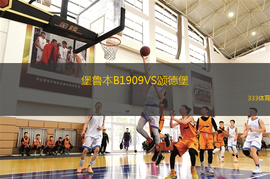 巴拉福特公園VS吉英瑟萊