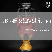 切爾滕漢姆VS斯旺西