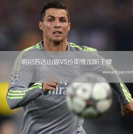 明尼蘇達(dá)山貓VS拉斯維加斯王牌