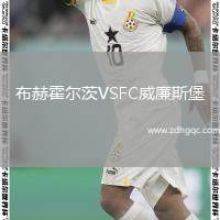 布赫霍爾茨VSFC威廉斯堡