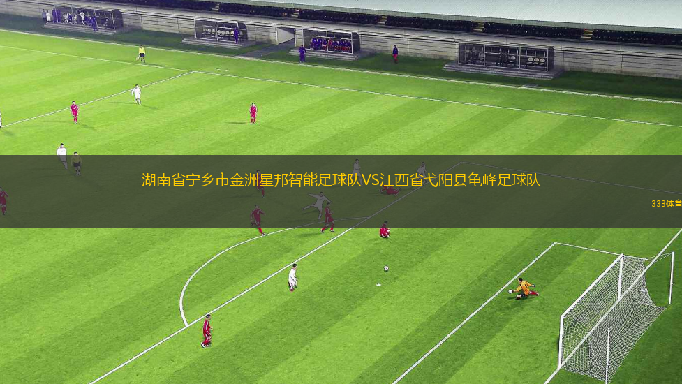 瓦倫西亞梅斯塔利亞VS塔拉戈納