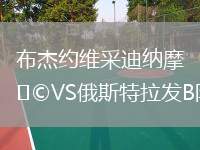 布杰約維采迪納摩VS俄斯特拉發(fā)B隊