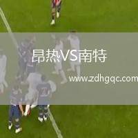 昂熱VS南特