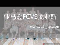 亞馬遜FCVS戈亞斯