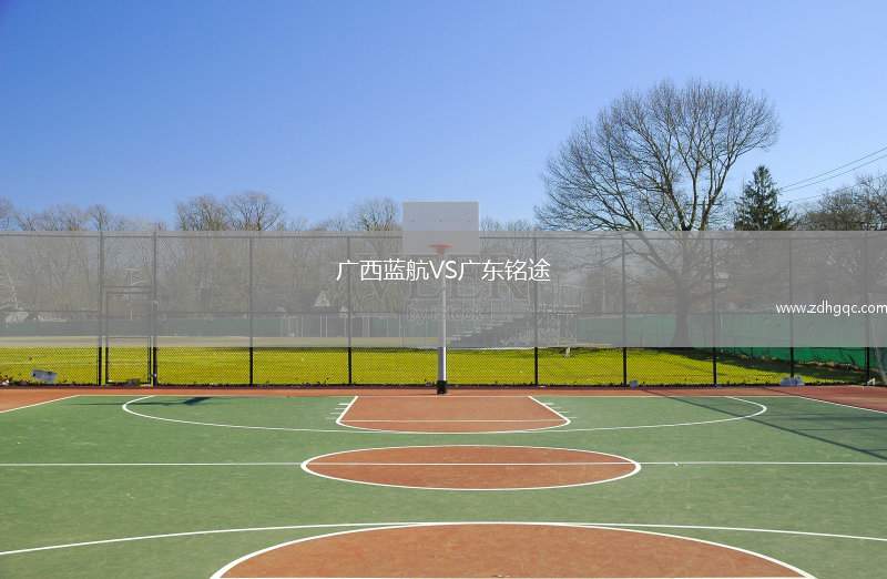 廣西藍(lán)航VS廣東銘途
