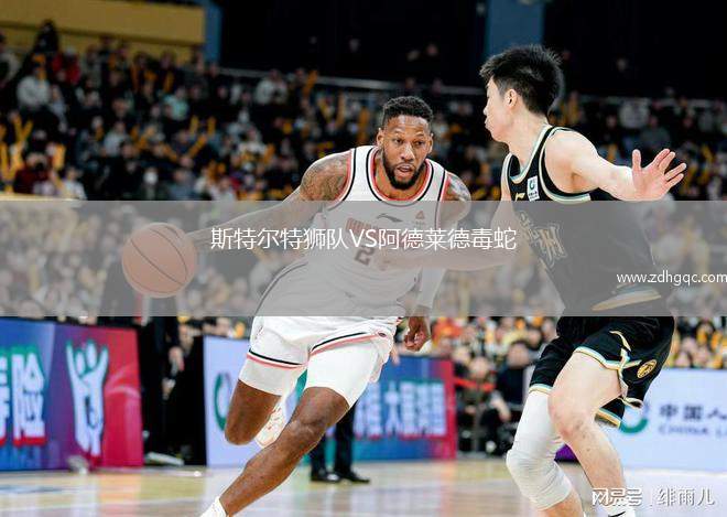 斯特爾特獅隊(duì)VS阿德萊德毒蛇