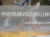 甲府風林VS山形山神