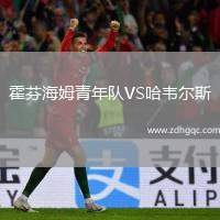 霍芬海姆青年隊(duì)VS哈韋爾斯