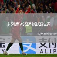 卡列度VS洛科維塔維恩