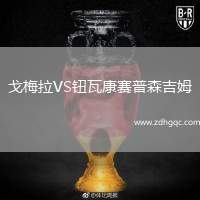 戈梅拉VS鈕瓦康賽普森吉姆