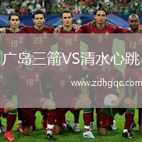 廣島三箭VS清水心跳