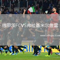 德羅茨FCVS弗拉基米爾魚雷