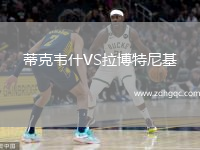 蒂克韋什VS拉博特尼基
