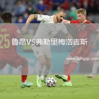 魯昂VS弗勒里梅洛吉斯