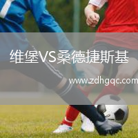 維堡VS桑德捷斯基