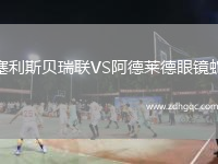 塞利斯貝瑞聯(lián)VS阿德萊德眼鏡蛇