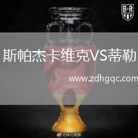 斯帕杰卡維克VS蒂勒