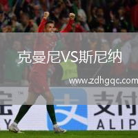 克曼尼VS斯尼納