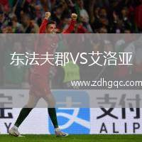 東法夫郡VS艾洛亞