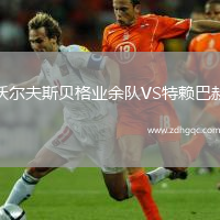 沃爾夫斯貝格業(yè)余隊VS特賴巴赫