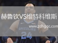 赫魯欽VS維特科維斯