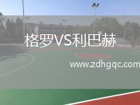格羅VS利巴赫