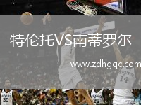 特倫托VS南蒂羅爾