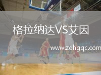 格拉納達(dá)VS艾因