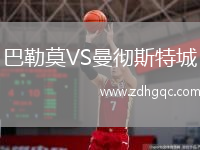 巴勒莫VS曼徹斯特城