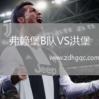 弗賴堡B隊(duì)VS洪堡