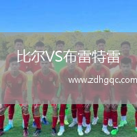 比爾VS布雷特雷